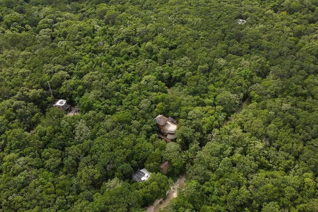Casa De La Selva-Jungle Getaway With Cenotes Βίλα Πλάγια Ντελ Κάρμεν Μεξικό