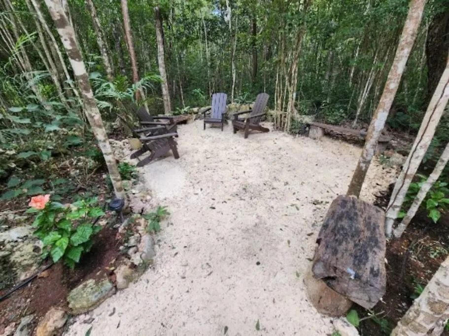 Casa De La Selva-Jungle Getaway With Cenotes Βίλα Πλάγια Ντελ Κάρμεν 0*,  Μεξικό