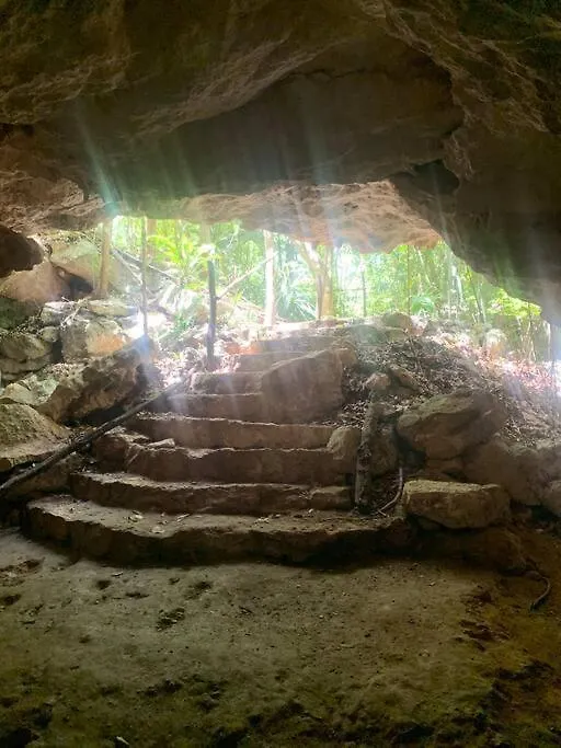 Σπίτι διακοπών Casa De La Selva-Jungle Getaway With Cenotes Βίλα Πλάγια Ντελ Κάρμεν Μεξικό