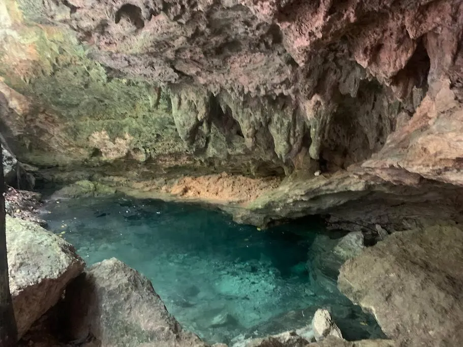 Casa De La Selva-Jungle Getaway With Cenotes Βίλα Πλάγια Ντελ Κάρμεν