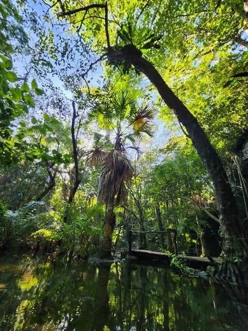 Casa De La Selva-Jungle Getaway With Cenotes Βίλα Πλάγια Ντελ Κάρμεν