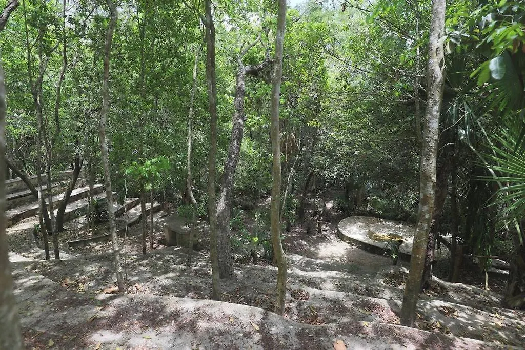 Casa De La Selva-Jungle Getaway With Cenotes Βίλα Πλάγια Ντελ Κάρμεν Σπίτι διακοπών