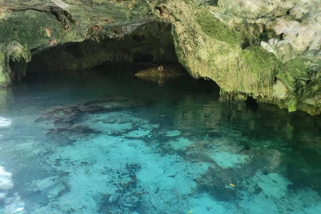 Casa De La Selva-Jungle Getaway With Cenotes Βίλα Πλάγια Ντελ Κάρμεν