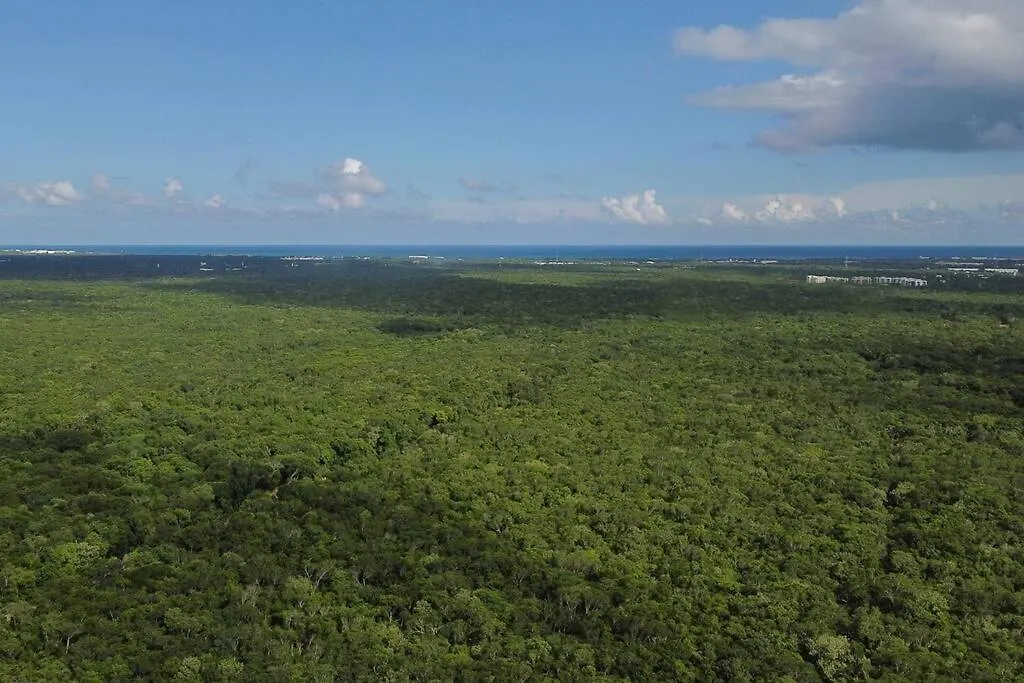 Σπίτι διακοπών Casa De La Selva-Jungle Getaway With Cenotes Βίλα Πλάγια Ντελ Κάρμεν