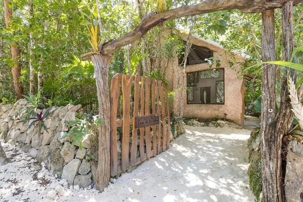 Casa De La Selva-Jungle Getaway With Cenotes Βίλα Πλάγια Ντελ Κάρμεν