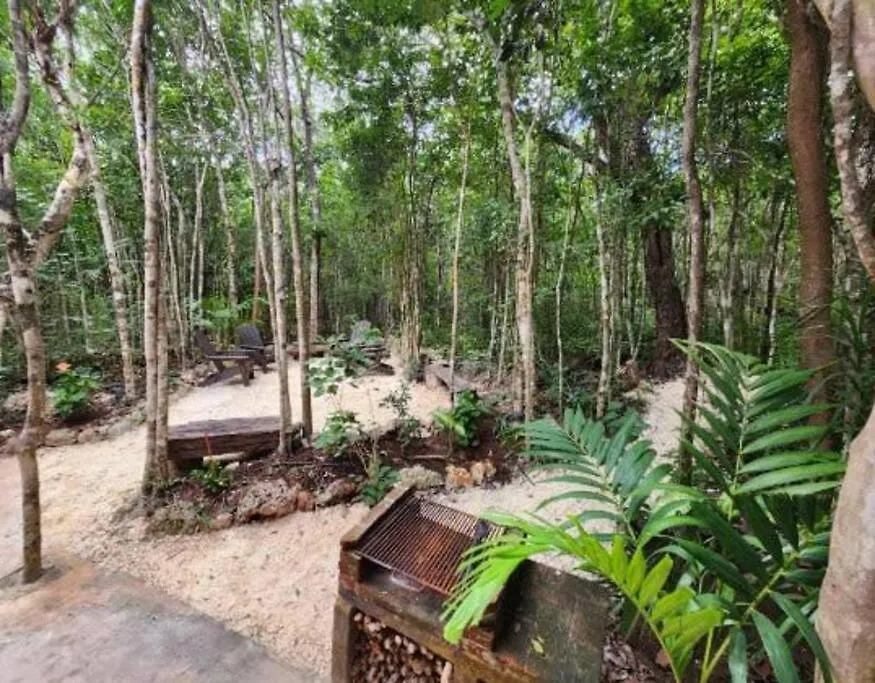 Villa Casa De La Selva-Jungle Getaway With Cenotes Playa del Carmen 0*,