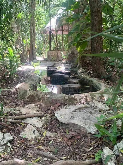 Casa vacanze Villa Casa De La Selva-Jungle Getaway With Cenotes Playa del Carmen